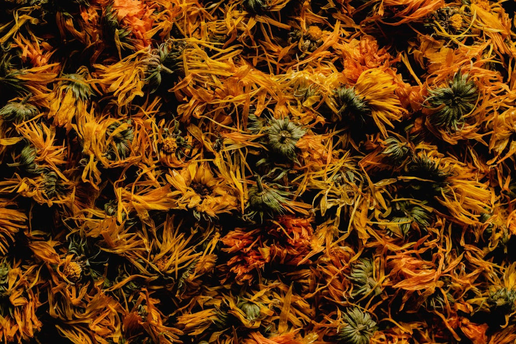 Ognjičevo mazilo – recept