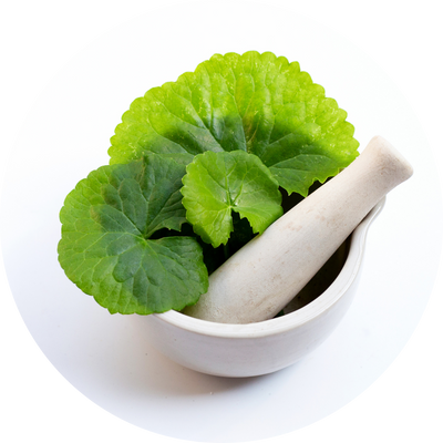 Gotu kola